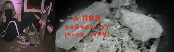 индика Лиски