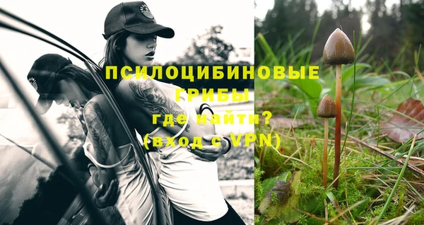 индика Лиски