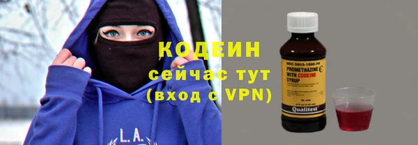 индика Лиски