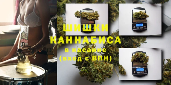индика Лиски