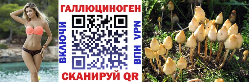 Купить где  Котельники  Псилоцибиновые грибы Magic Shrooms 