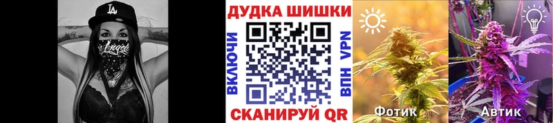 Купить где  Котельники  Бошки марихуана гибрид 